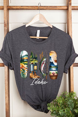 US3001P-E3061ID Idaho State Brushstroke Graphic Plus Tee $16