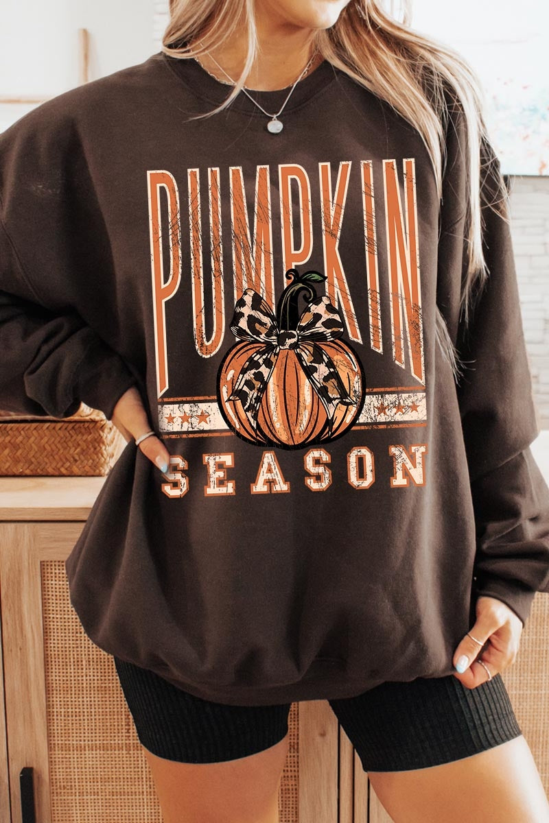 UL180-E3145 Pumpkin Season Graphic Sweatshirt $20