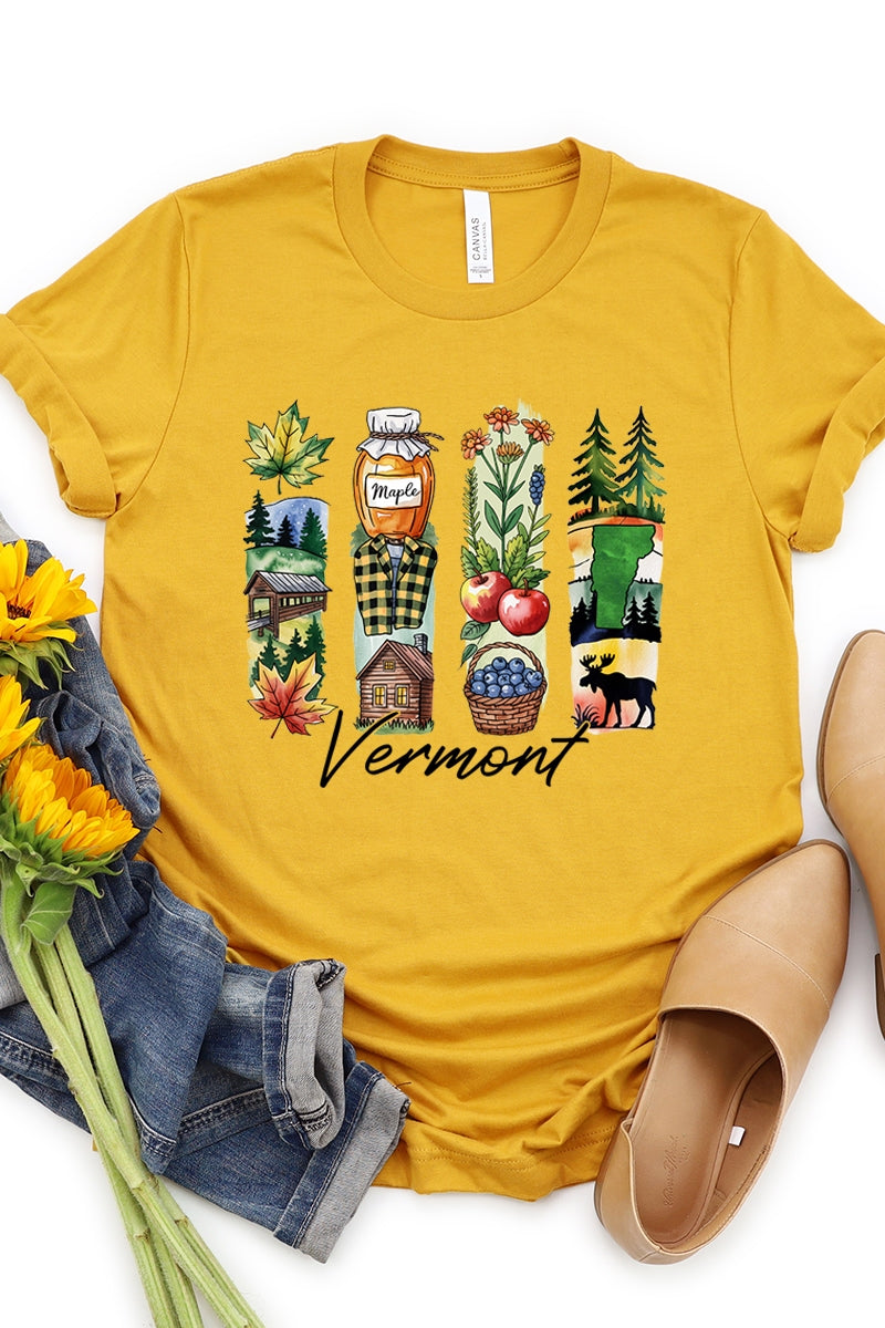 US3001P-E3061VT Vermont State Brushstroke Graphic Plus Tee $16