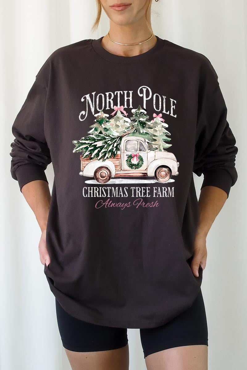 UL240-E3174 North Pole Christmas Graphic Long Sleeve Tee $13.75