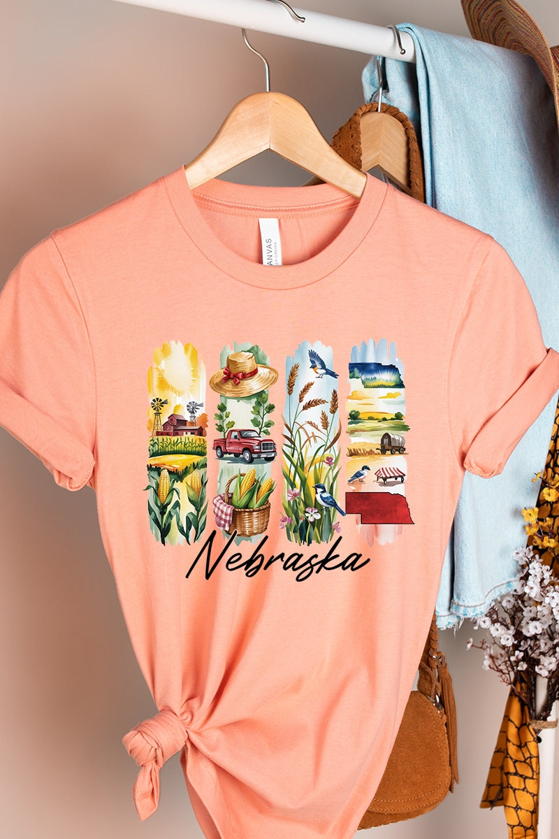 US3001-E3061NE Nebraska State Brushstroke Graphic Tee $12.5
