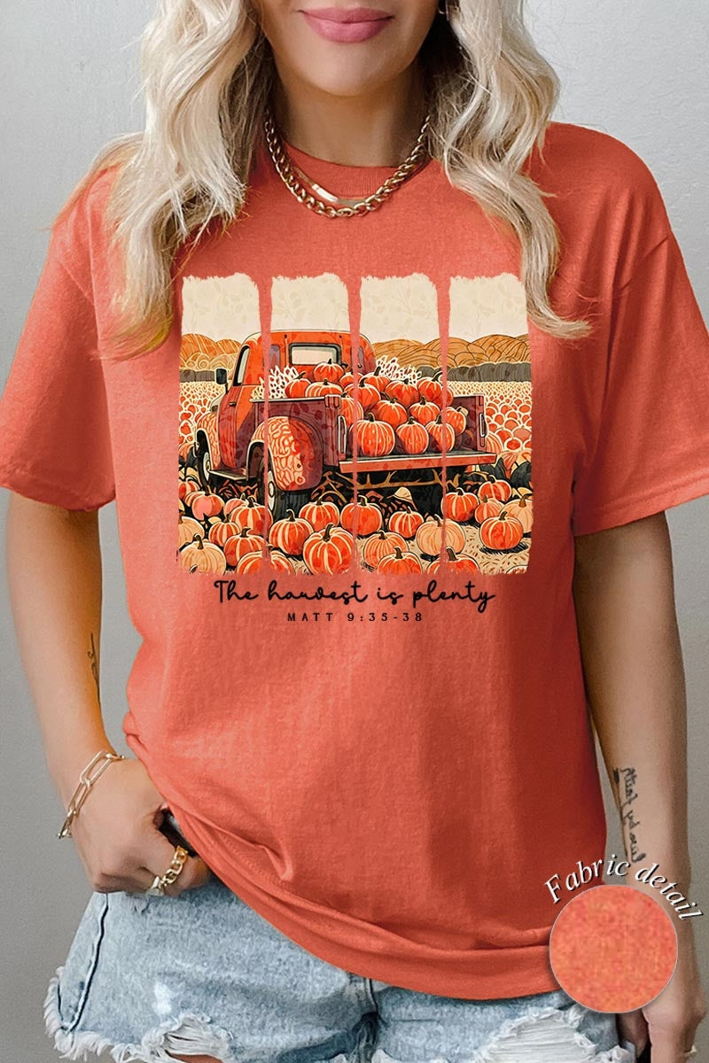 5000-E3172 Harvest Is Plenty Graphic Heavy Cotton Tee $9