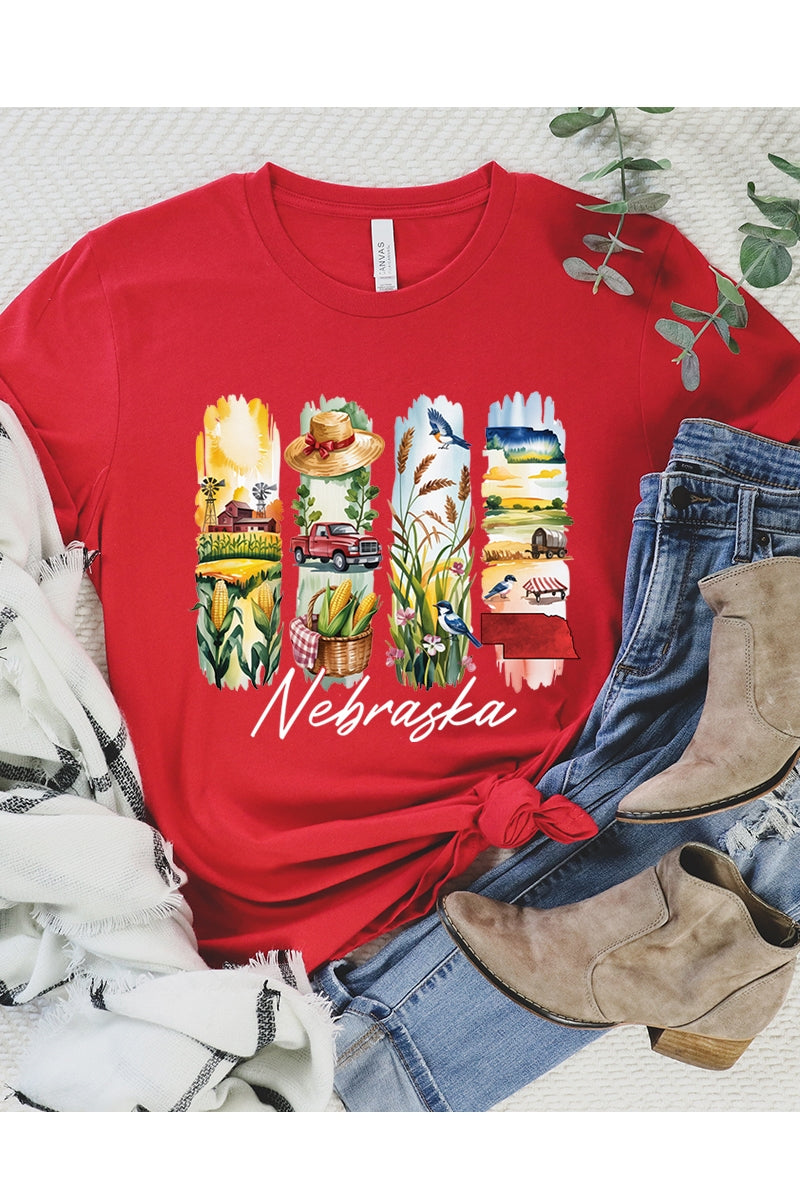 US3001-E3061NE Nebraska State Brushstroke Graphic Tee $12.5