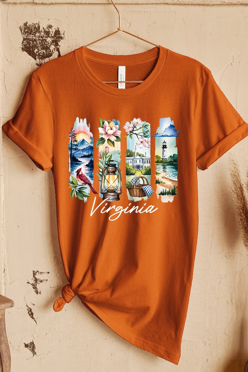 US3001P-E3061VA Virginia State Brushstroke Graphic Plus Tee $16