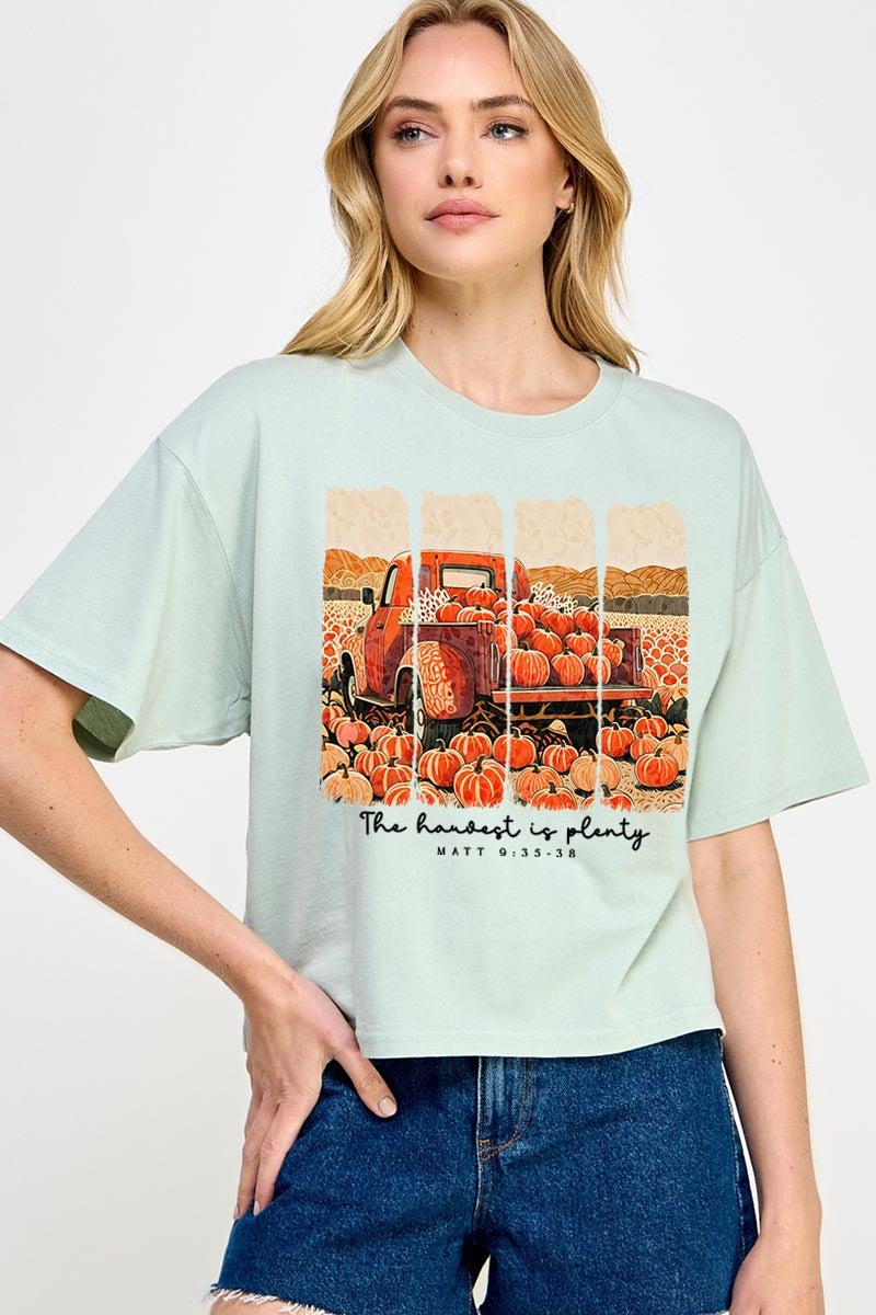 CTS-E3172 Harvest Is Plenty Graphic Relaxed Crop Top $11