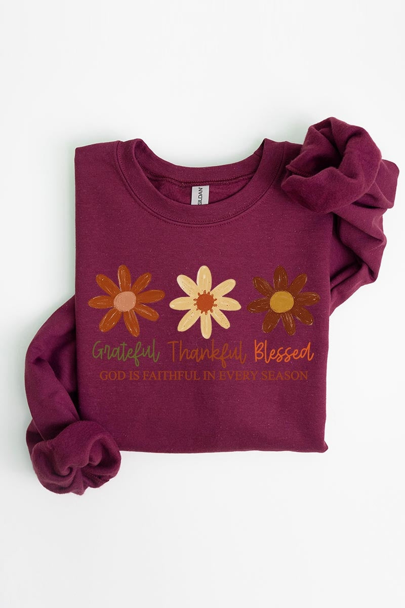 UL180-E3165 Boho Fall Christian Graphic Sweatshirt $20