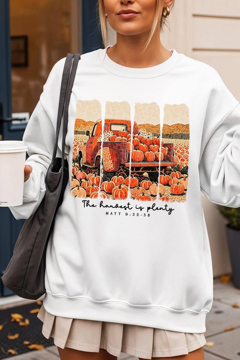 UL180-E3172 Harvest Is Plenty Graphic Sweatshirt $20