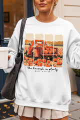 UL180P-E3172 Harvest Is Plenty Graphic Plus Sweatshirt $25