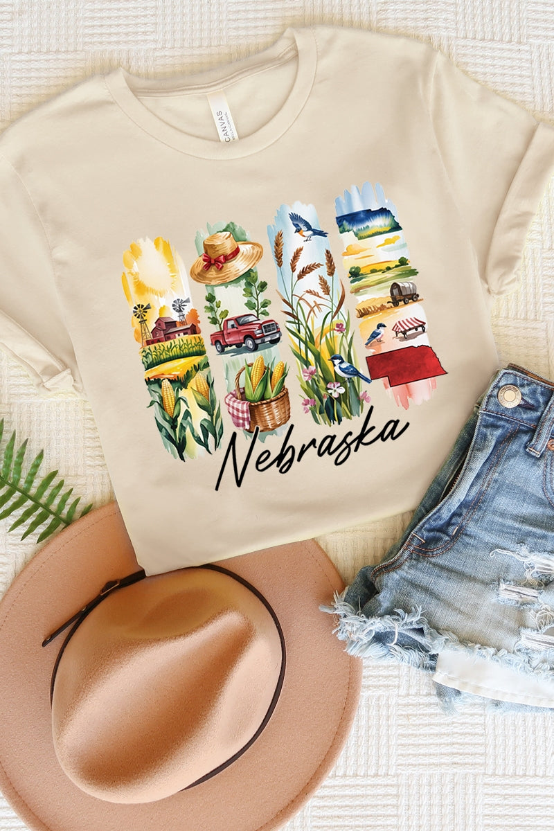 US3001-E3061NE Nebraska State Brushstroke Graphic Tee $12.5
