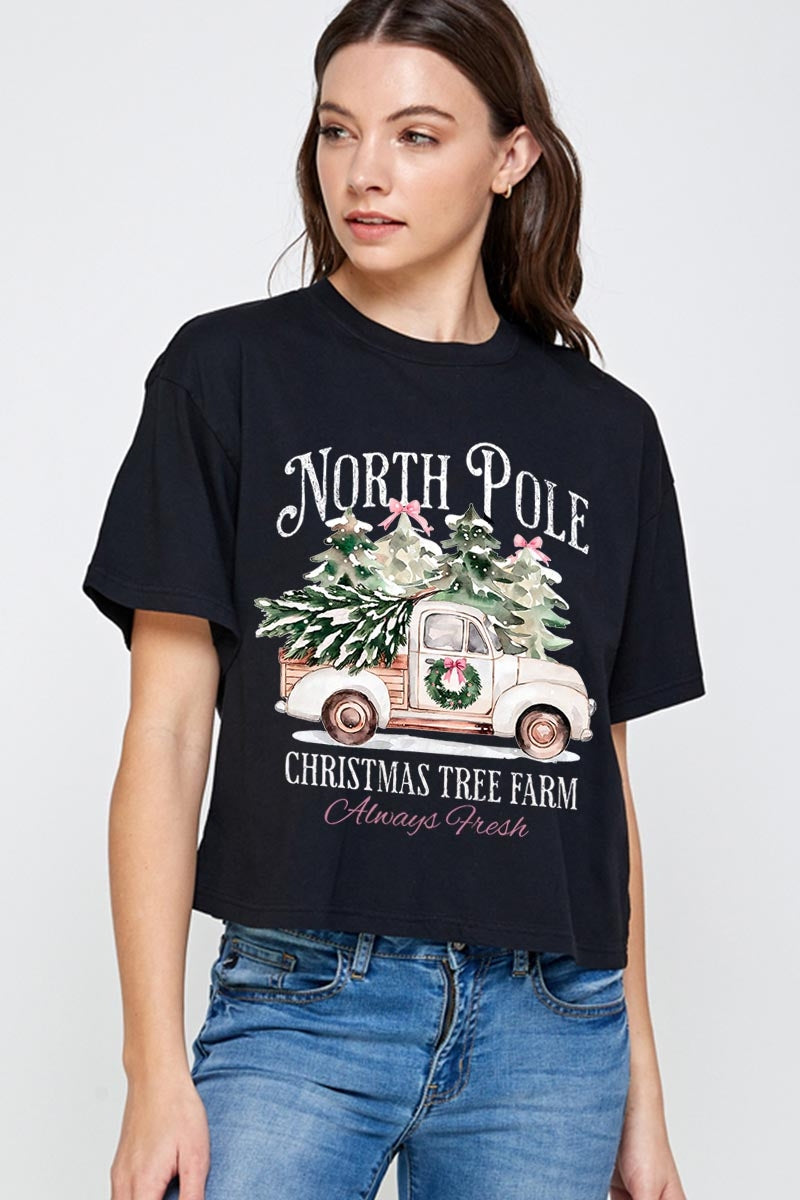 CTS-E3174 North Pole Christmas Graphic Relaxed Crop Top $11