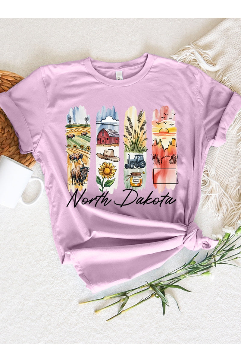 US3001P-E3061ND North Dakota State Brushstroke Graphic Plus Tee $16