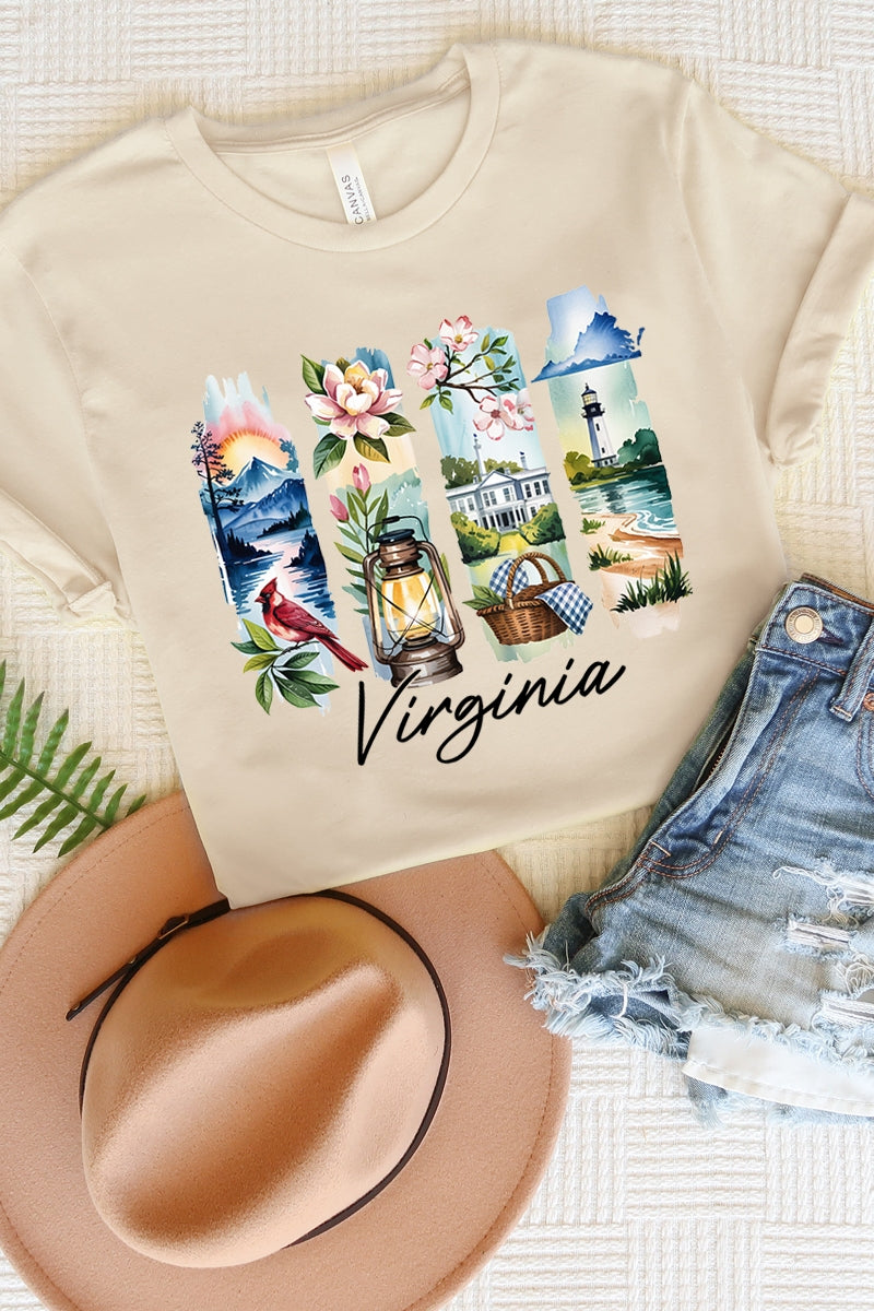 US3001P-E3061VA Virginia State Brushstroke Graphic Plus Tee $16