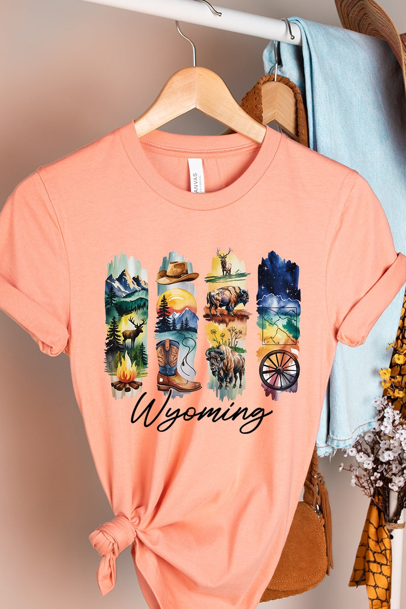 US3001P-E3061WY Wyoming State Brushstroke Graphic Plus Tee $16
