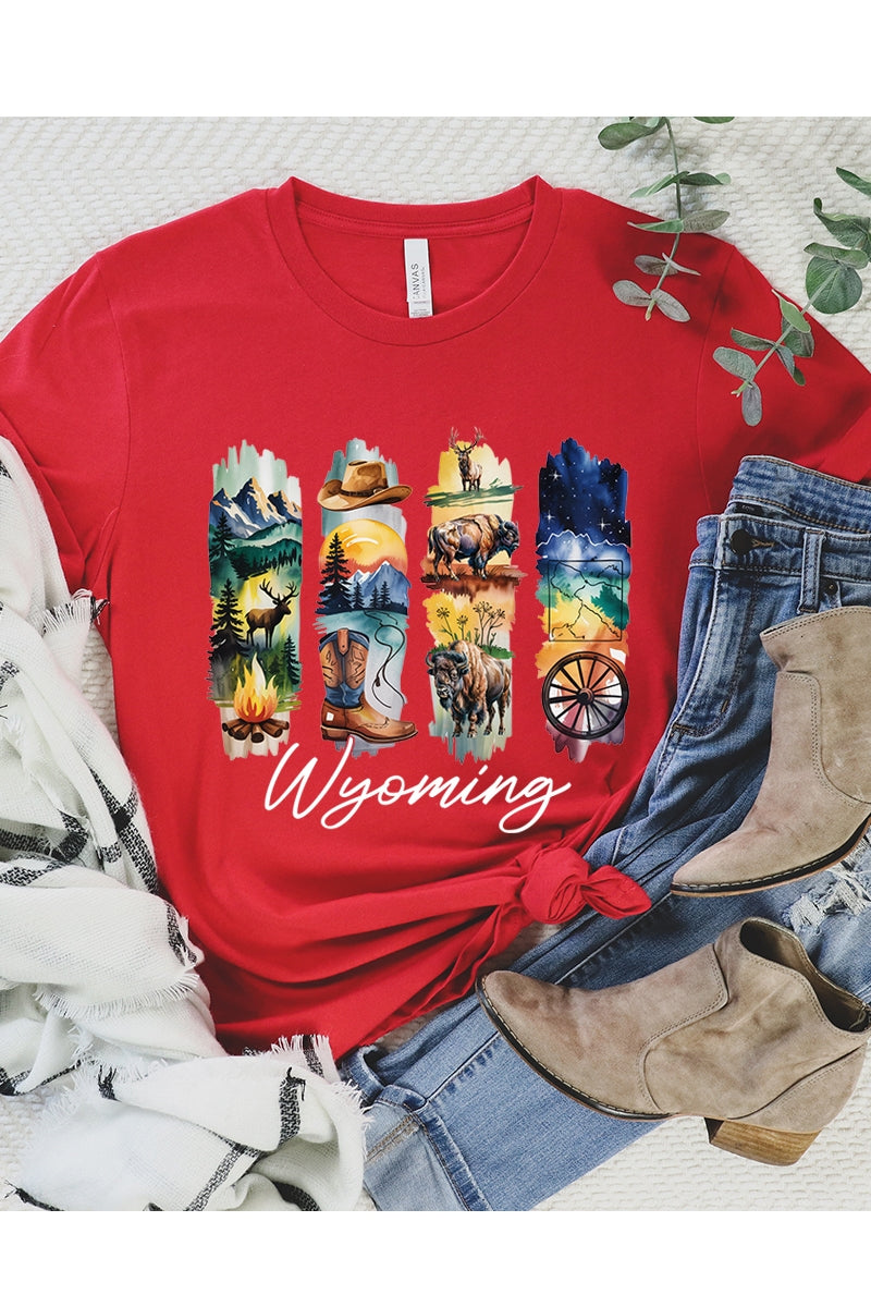 US3001-E3061WY Wyoming State Brushstroke Graphic Tee $12.5