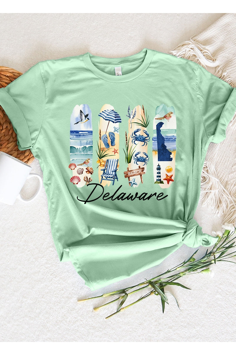 US3001-E3061DE Delaware State Brushstroke Graphic Tee $12.5