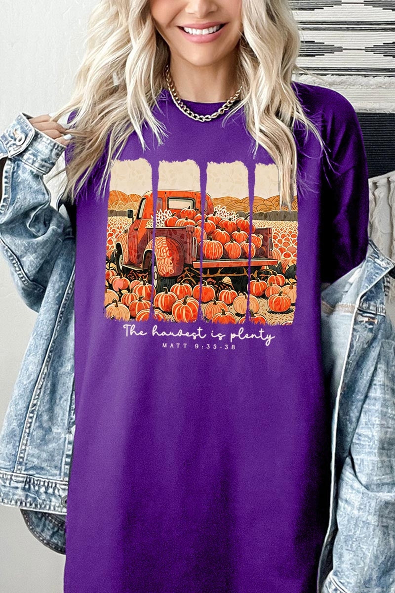 5000P-E3172 Harvest Is Plenty Graphic Plus Heavy Cotton Tee $12.75