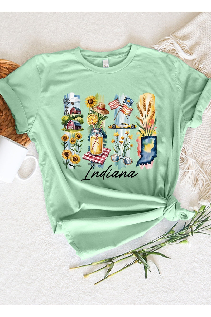 US3001P-E3061IN Indiana State Brushstroke Graphic Plus Tee $16
