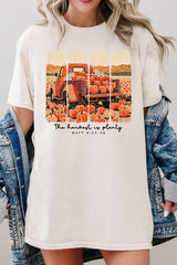5000-E3172 Harvest Is Plenty Graphic Heavy Cotton Tee $9