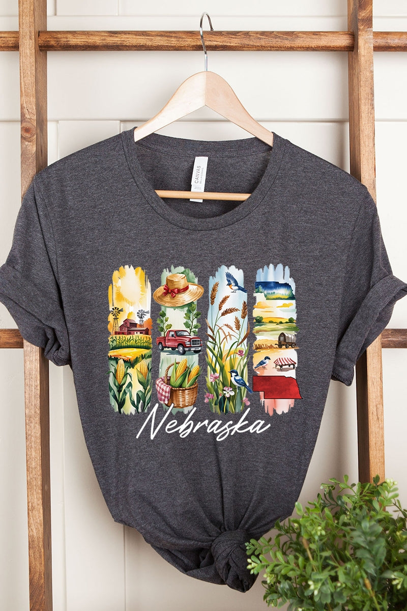 US3001-E3061NE Nebraska State Brushstroke Graphic Tee $12.5