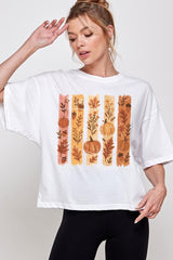CTS-E3110 Brushstroke Boho Fall Graphic Relaxed Crop Top $11