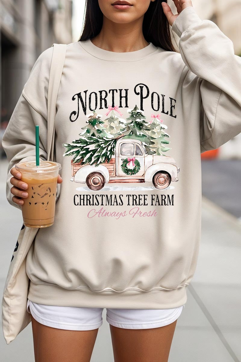 UL180-E3174 North Pole Christmas Graphic Sweatshirt $20