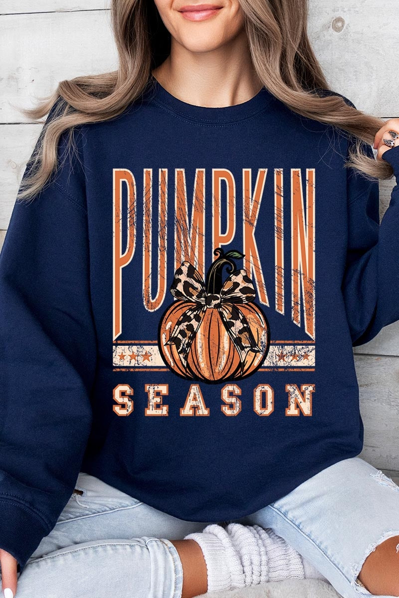 UL180-E3145 Pumpkin Season Graphic Sweatshirt $20