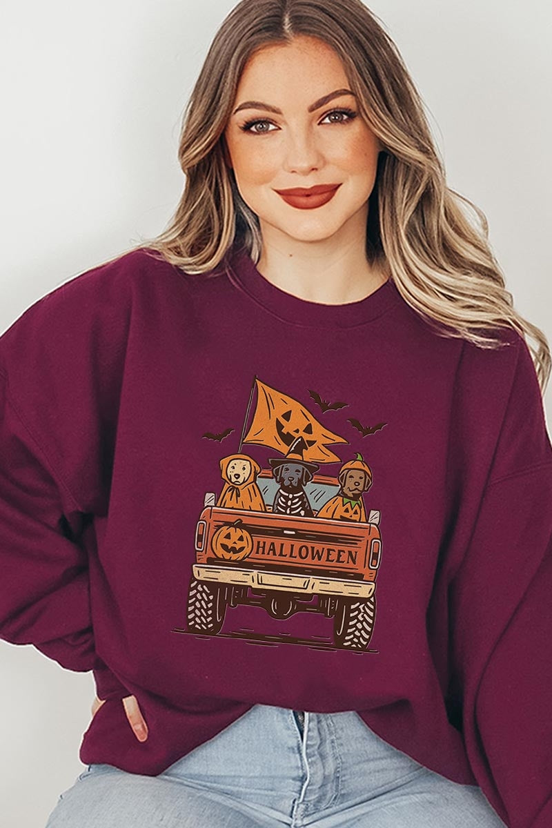 UL180-E3150 Halloween Truck Dogs Graphic Sweatshirt $20