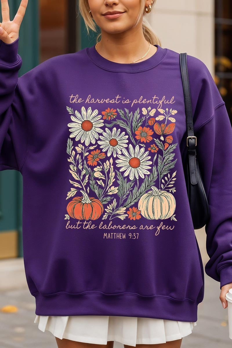 UL180-E3173 Faith Harvest Graphic Sweatshirt $20