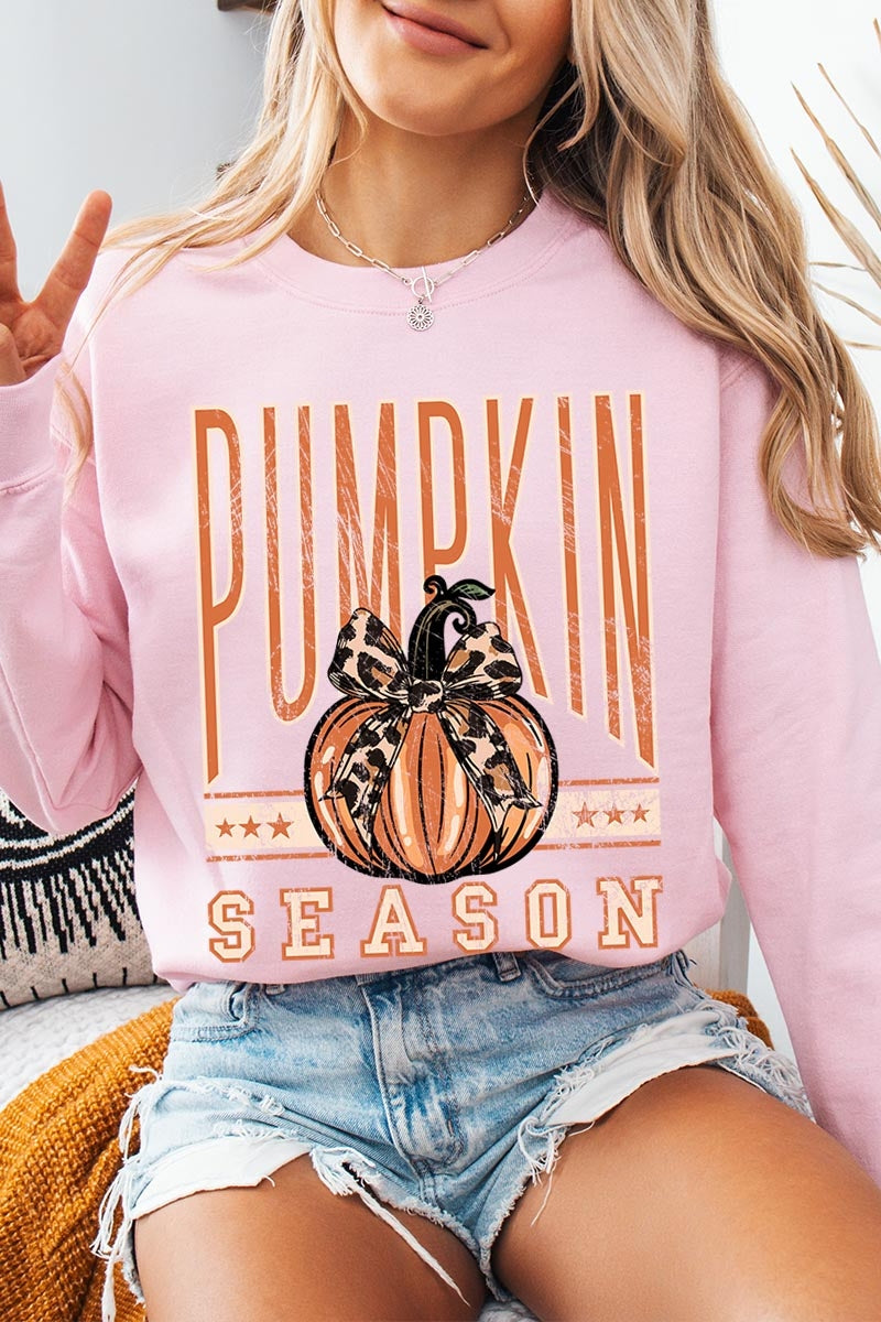 UL180-E3145 Pumpkin Season Graphic Sweatshirt $20