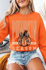 UL180P-E3145 Pumpkin Season Graphic Plus Sweatshirt $25