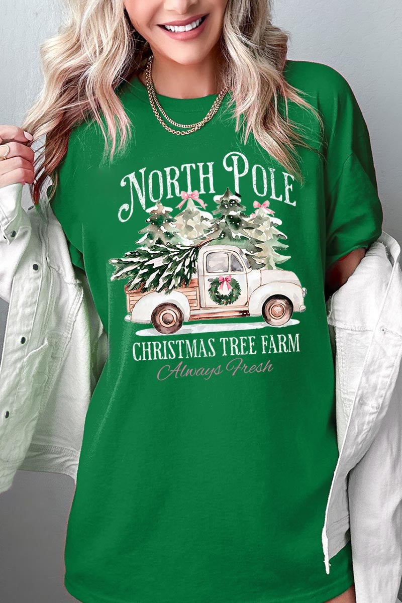 5000-E3174 North Pole Christmas Graphic Heavy Cotton Tee $9