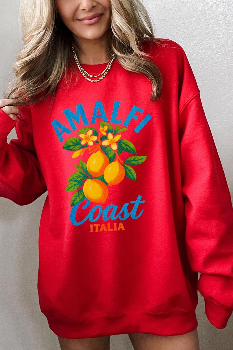 UL180-E3470 America 250 Gingham Graphic Sweatshirt $20