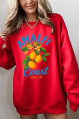 UL180-E3470 America 250 Gingham Graphic Sweatshirt $20