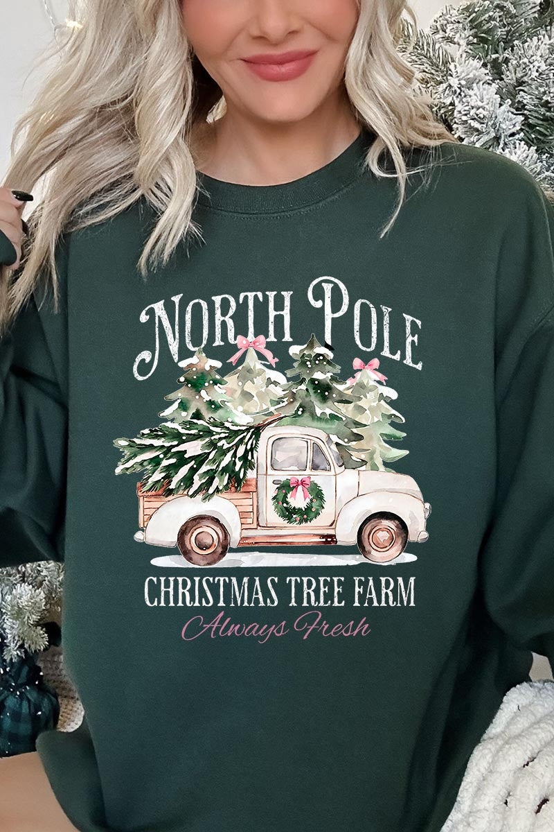 UL180P-E3174 North Pole Christmas Graphic Plus Sweatshirt $25