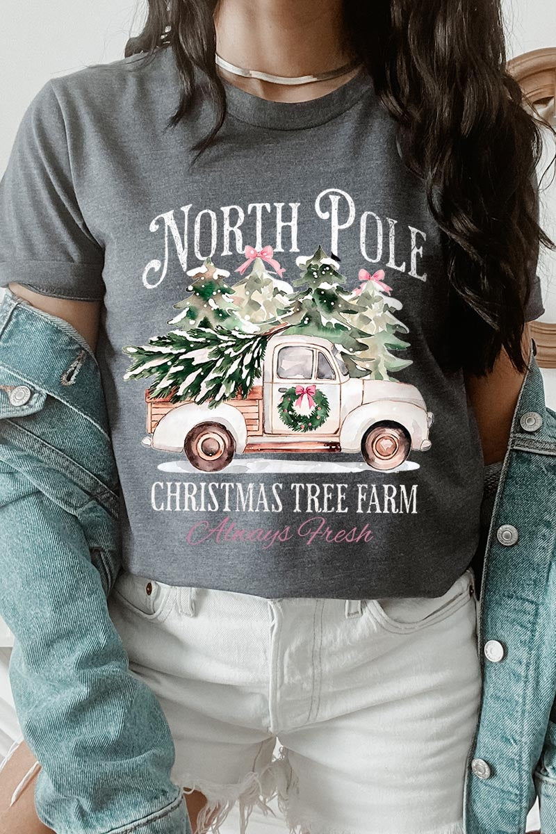 US3001P-E3174 North Pole Christmas Graphic Plus Tee $16