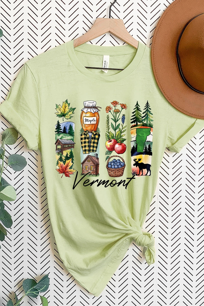 US3001-E3061VT Vermont State Brushstroke Graphic Tee $12.5