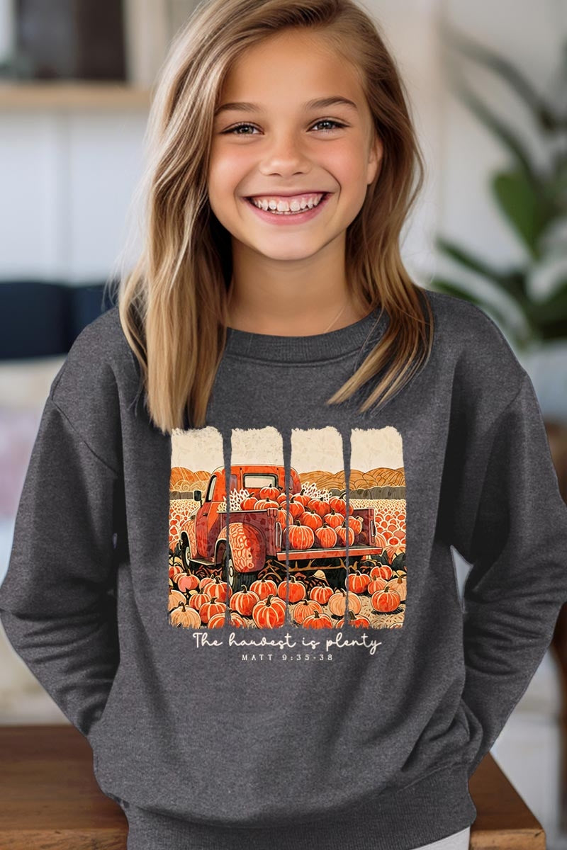 UL180B-E3172Z Harvest Is Plenty Kids Graphic Sweatshirt $20