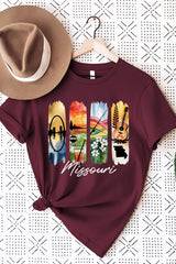 US3001P-E3061MO Missouri State Brushstroke Graphic Plus Tee $16