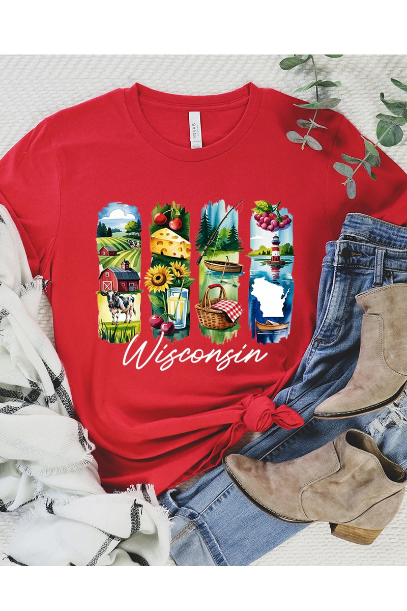 US3001-E3061WI Wisconsin State Brushstroke Graphic Tee $12.5