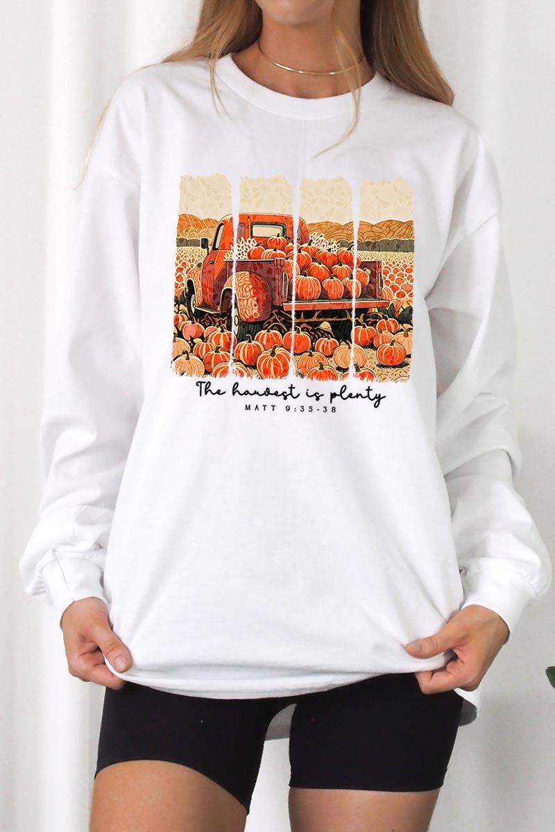 UL240P-E3172 Harvest Is Plenty Graphic Plus Long Sleeve Tee $17