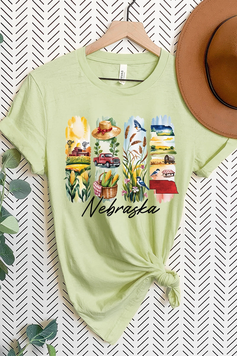 US3001-E3061NE Nebraska State Brushstroke Graphic Tee $12.5