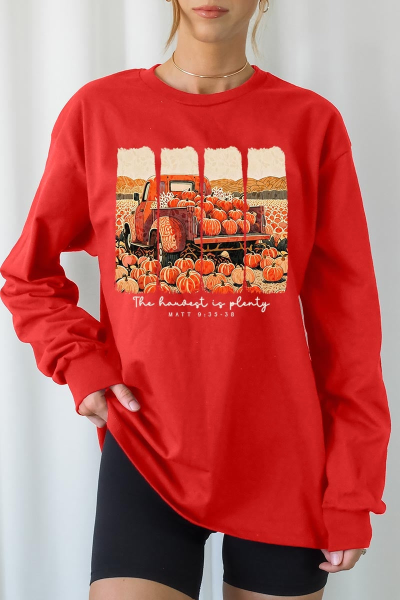 UL240-E3172 Harvest Is Plenty Graphic Long Sleeve Tee $13.75