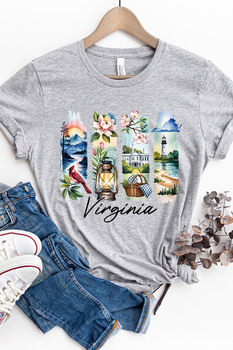 US3001P-E3061VA Virginia State Brushstroke Graphic Plus Tee $16