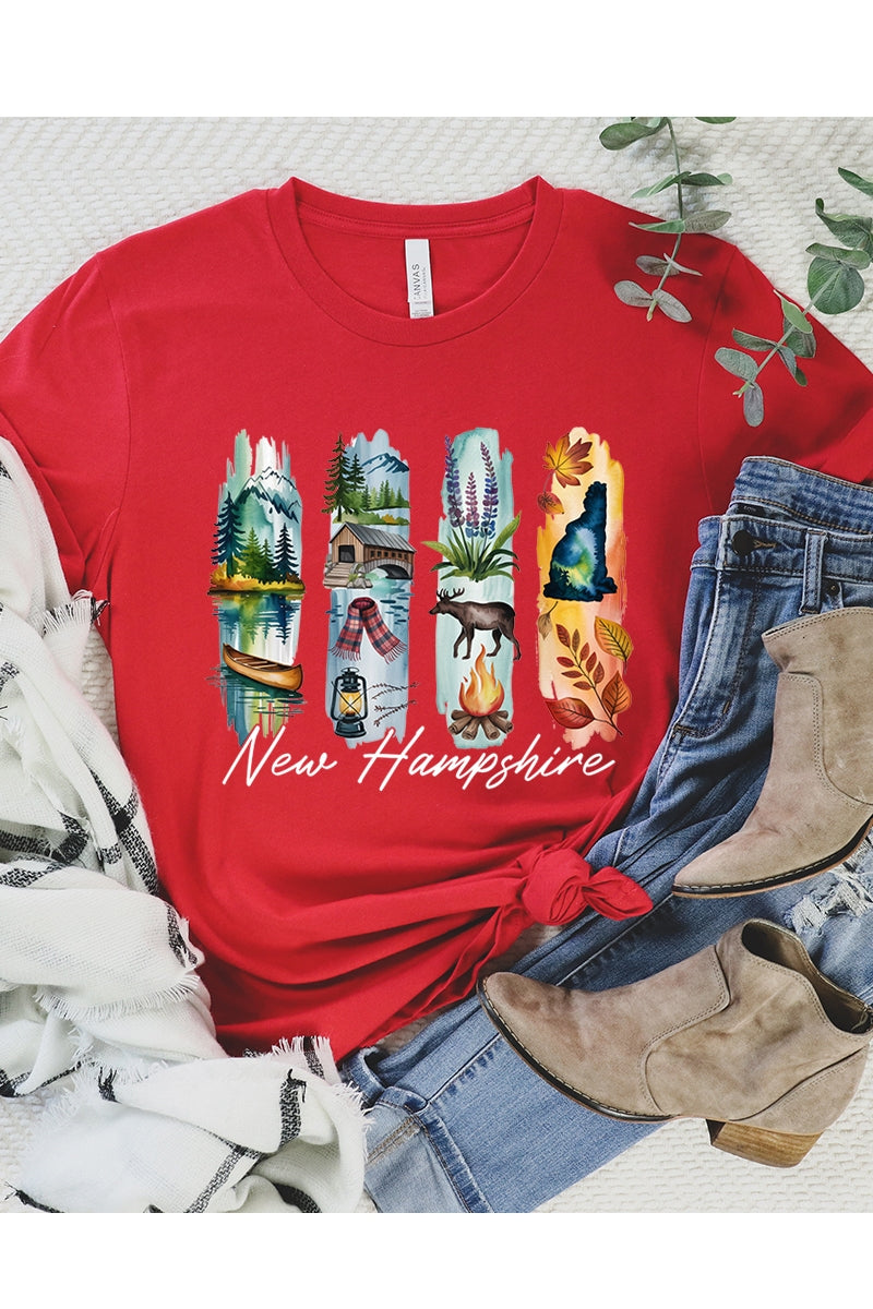 US3001P-E3061NH New Hampshire State Brushstroke Graphic Plus Tee $16