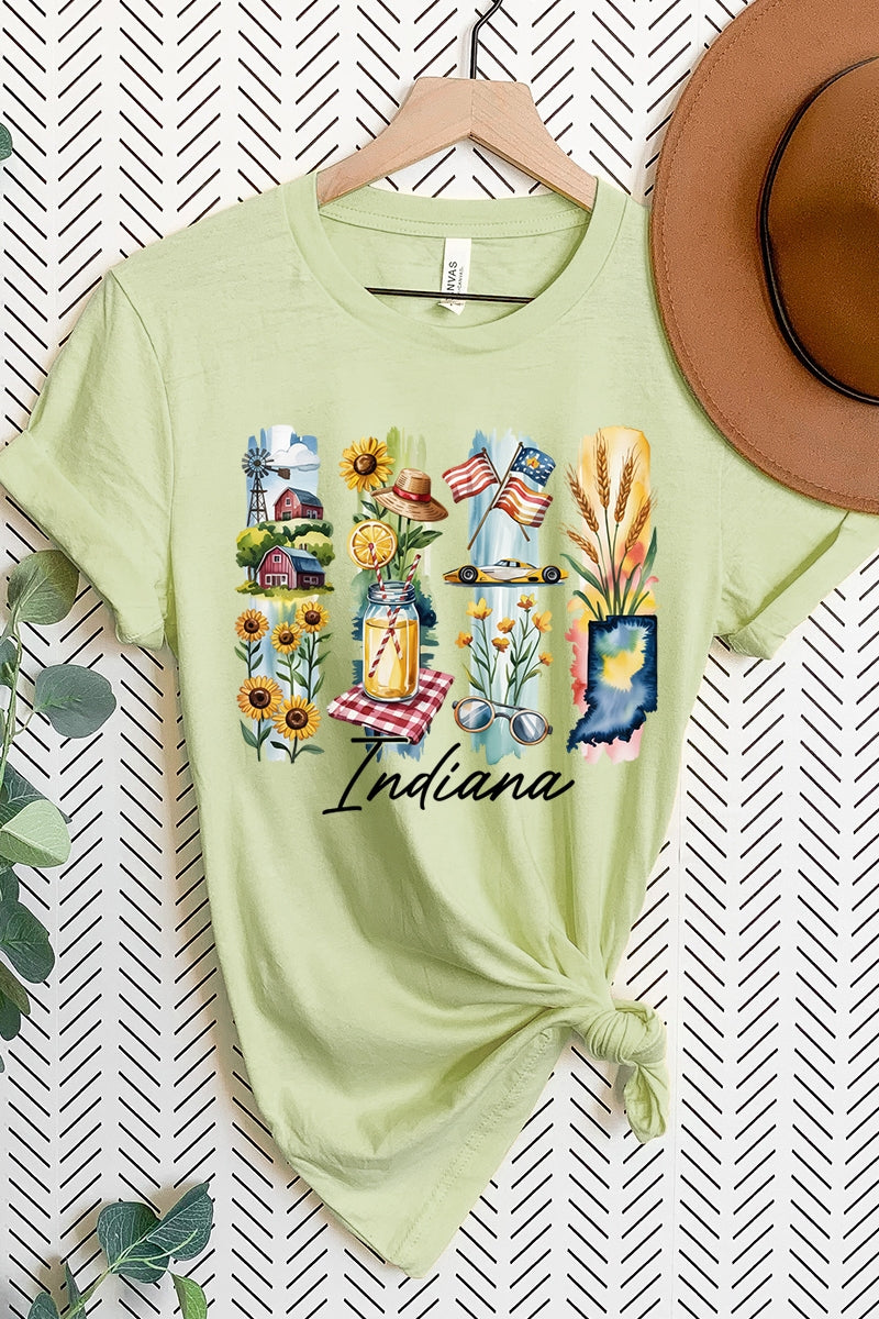 US3001-E3061IN Indiana State Brushstroke Graphic Tee $12.5