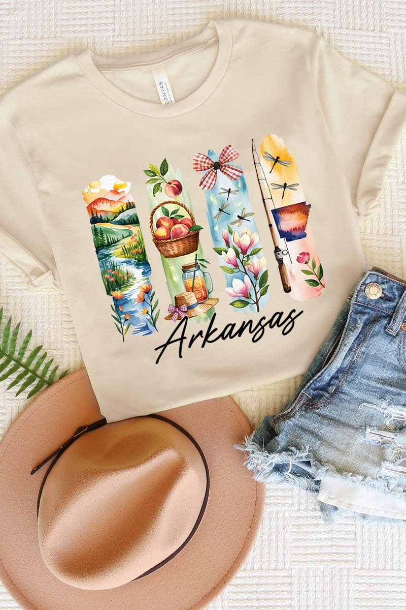 US3001P-E3061AR Arkansas State Brushstroke Graphic Plus Tee $16