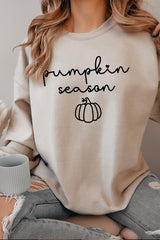 UL180-E3152 Pumpkin Season Graphic Sweatshirt $20