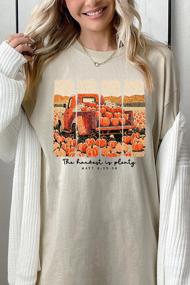5000-E3172 Harvest Is Plenty Graphic Heavy Cotton Tee $9