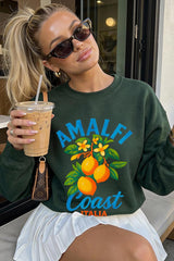 UL180-E3470 America 250 Gingham Graphic Sweatshirt $20