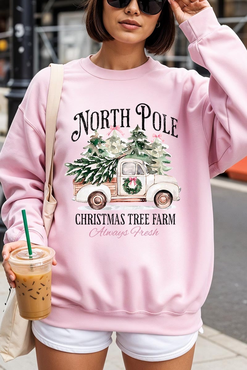 UL180P-E3174 North Pole Christmas Graphic Plus Sweatshirt $25